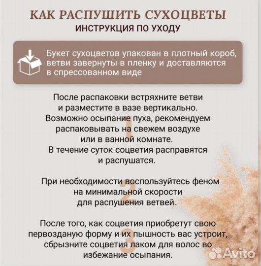 Букет из сухоцветов