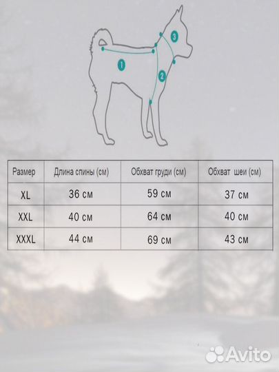 Толстовка для собак gucci худи свитшот свитер