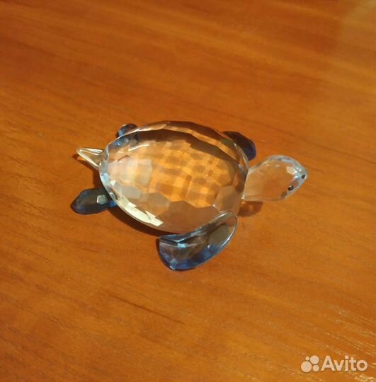 Черепаха хрустальная