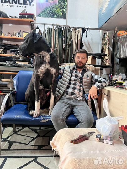 Булли кутта