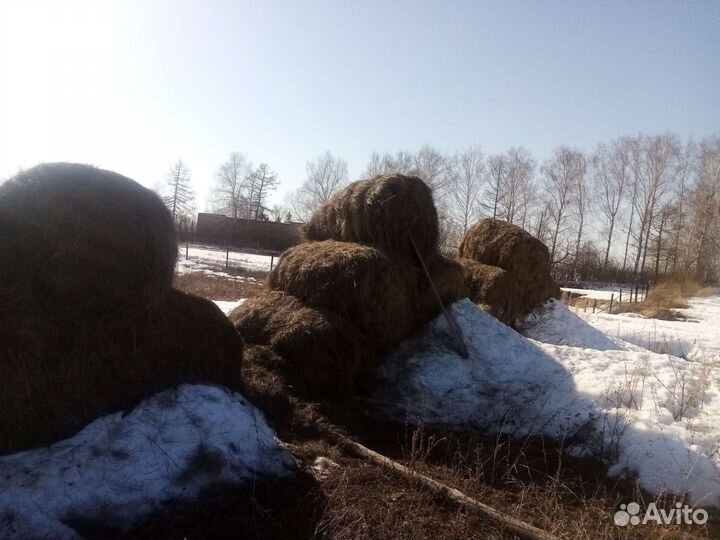Продаётся сено