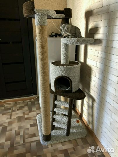 Комплекс для кошки