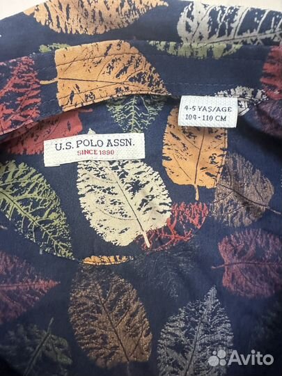 Рубашка для мальчика US Polo 104-110