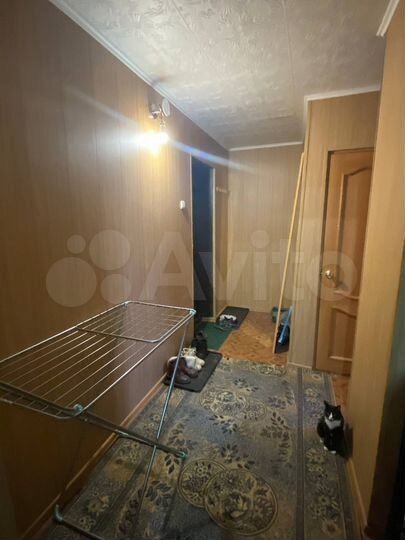 Комната 19 м² в 2-к., 9/9 эт.