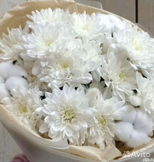 Букет Хризантем с хлопком Доставка Челябинск