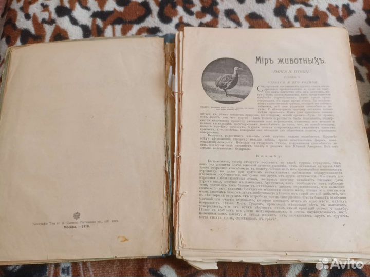 Старые книги