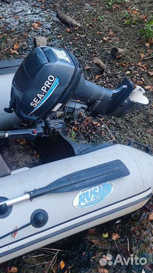 Резиновая лодка с мотором