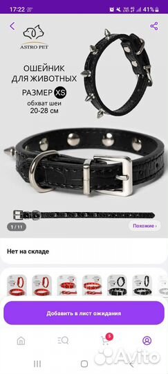 Одежда и переноска для щенка