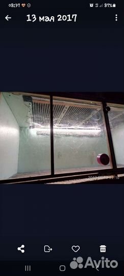 Бруддер для цыплят