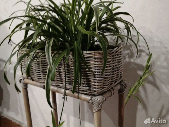 Жардиньерка бумажная лоза