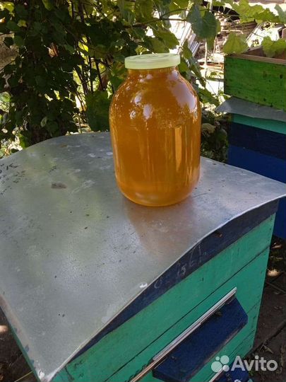 Мед разнотравье