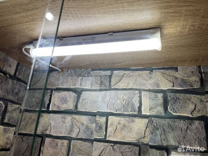 Террариум для рептилий