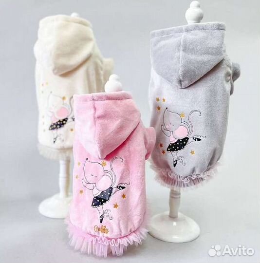 Одежда на осень для собак