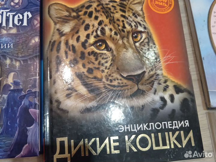 Книги, отдам от 200 до 800 смотря кокая книга