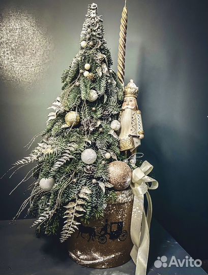 Елка новогодняя живая
