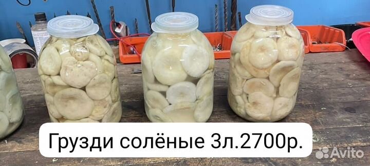 Грибы