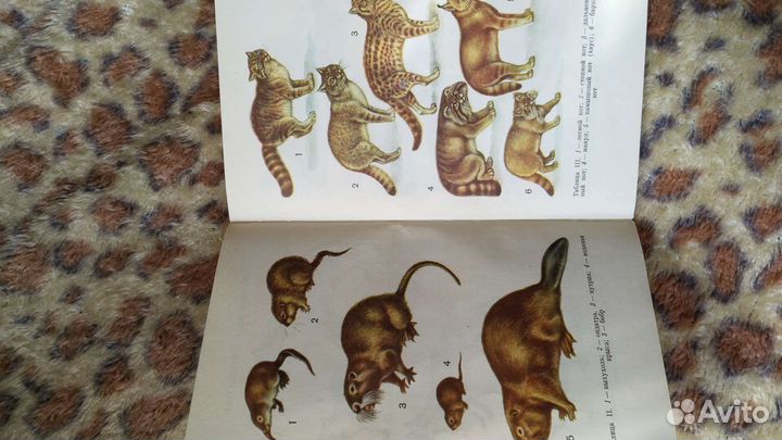 Книга рн пз