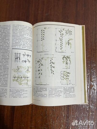 Гусев А. М. Комнатное овощеводство. М. Росагропром