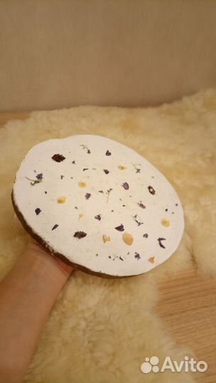 Спил из дерева