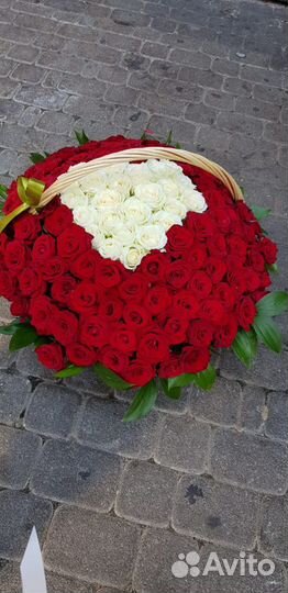 51 роза
