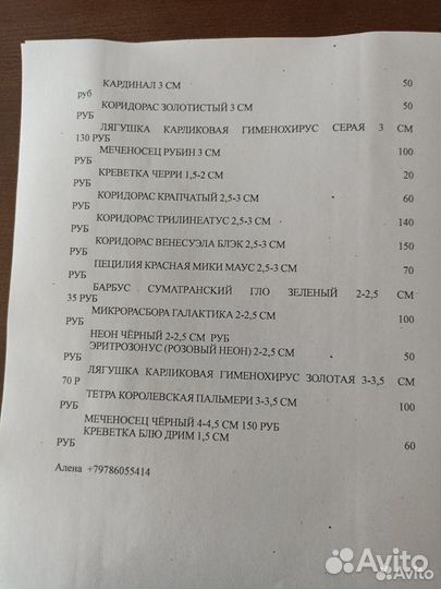 Аквариумные рыбки