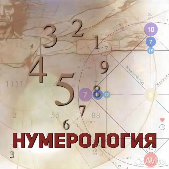 Нумеролог. Прогнозирование