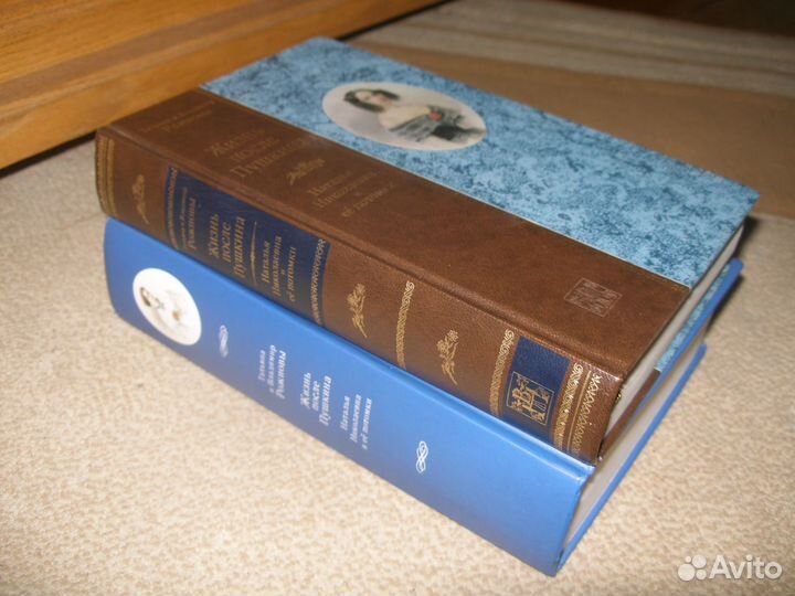 Рожнова. Жизнь после Пушкина.1 и 2 изд-е