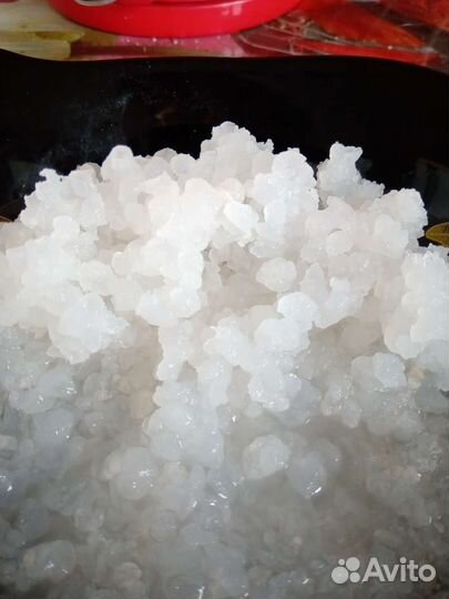 Индийский морской рис(Тибикос)