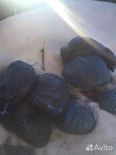 Помёт перепелиный, навоз, удобрение, чернозём