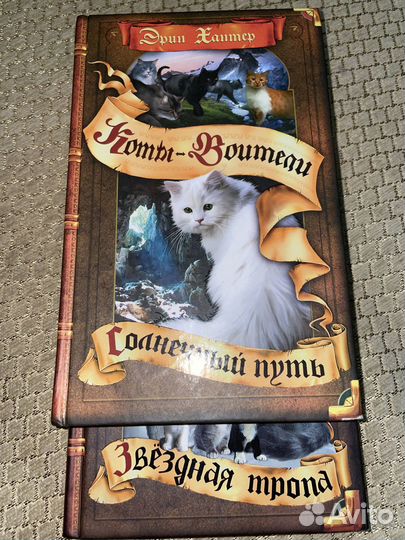 Коты воители 