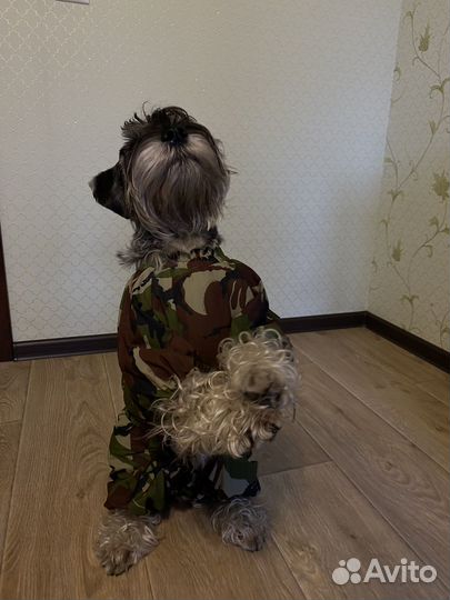 Зимний комбинезон для собаки средних пород