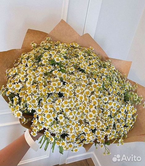 Ромашки Букет из ромашек доставка