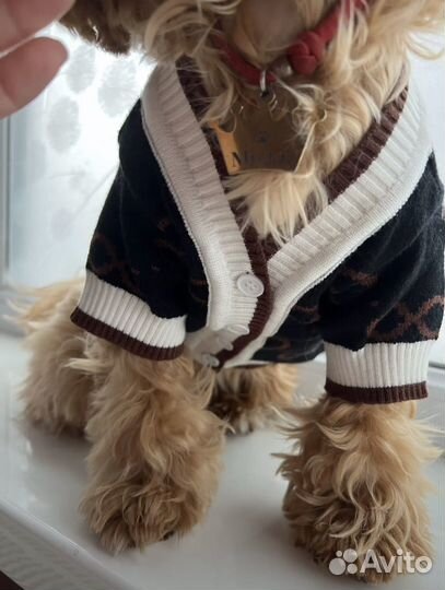 Одежда для маленьких собак новая