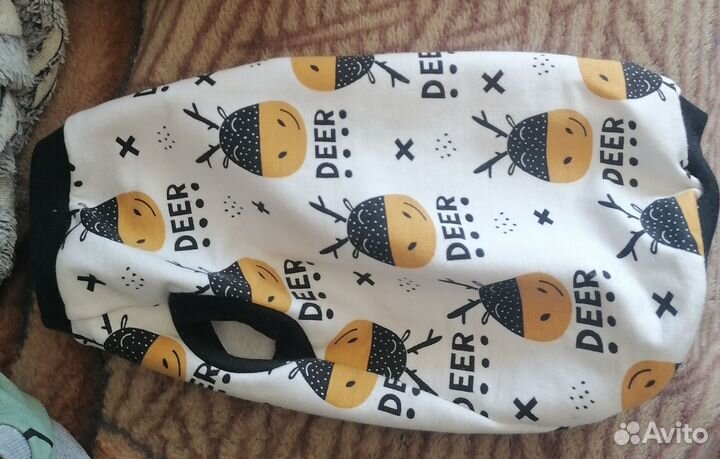 Одежда для кошек сфинкс