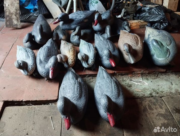 Чучела уток бу