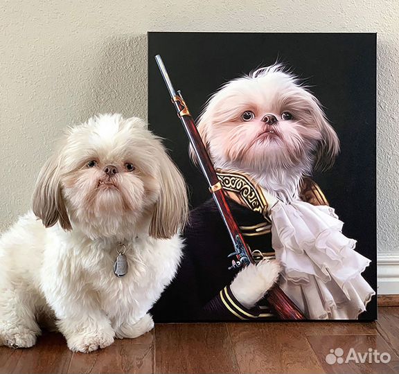 Портрет питомца / кота / собаки / животного