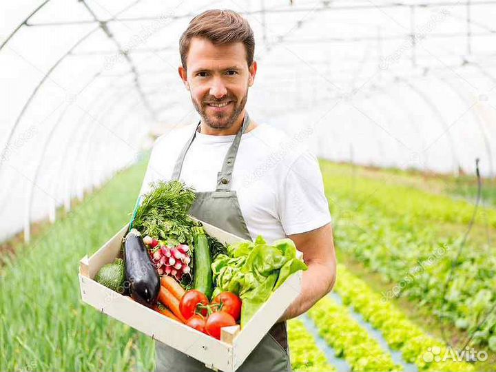 Овощевод вахта