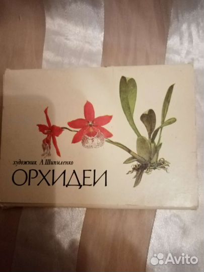 Фото открытка СССР