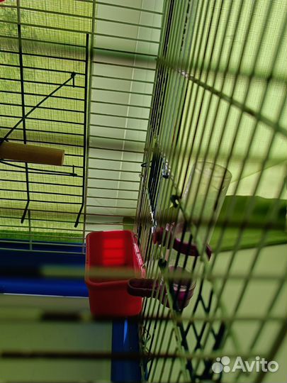 Клетка для волнистого попугая большая