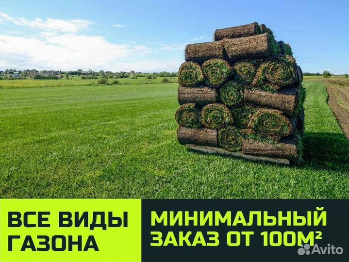 Укладка и продажа рулонного газона