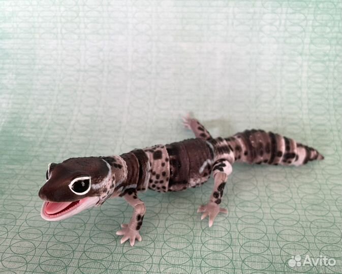 Фигурка Геккон Япония