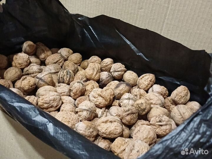 Грецкий орех