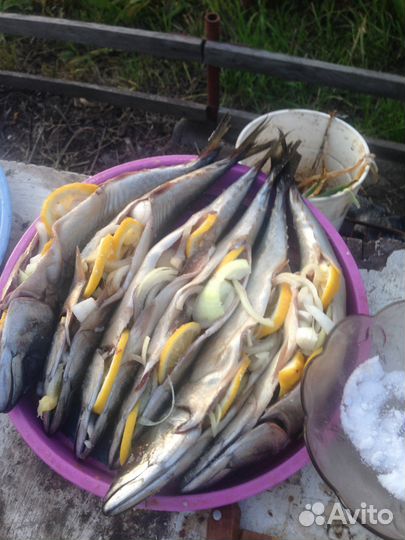 Коптильня как подарок, подарки мужчине