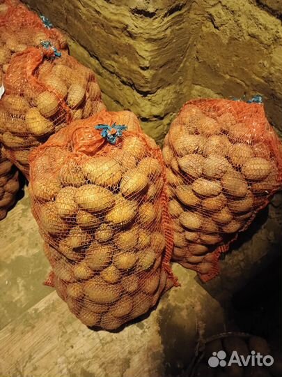Продам картофель домашний