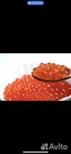 Красная икра оптом
