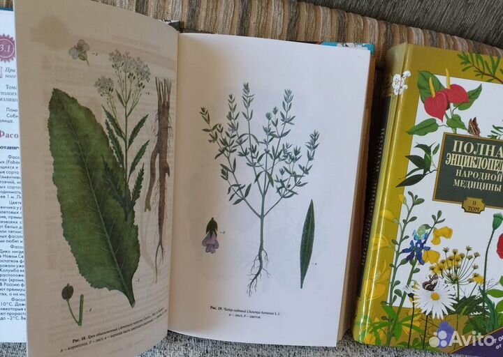 Энциклопедия народной медицины
