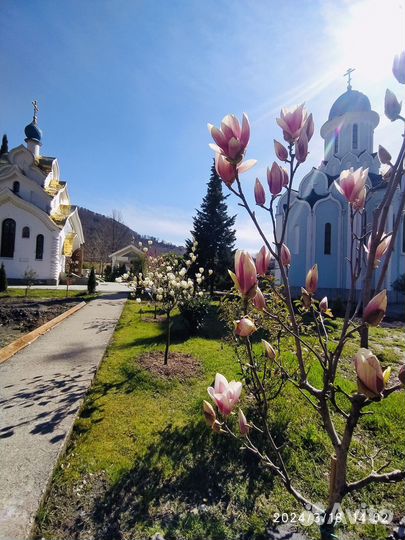 Каньон Псахо экскурсии Сочи