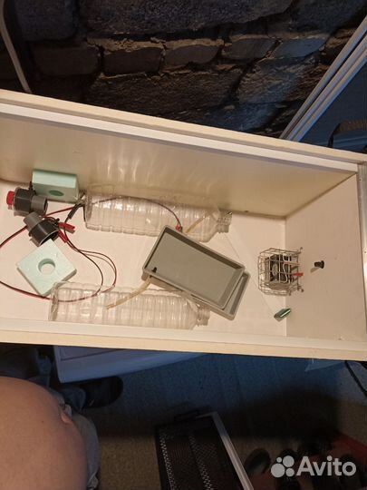 Инкубатор для яиц бу