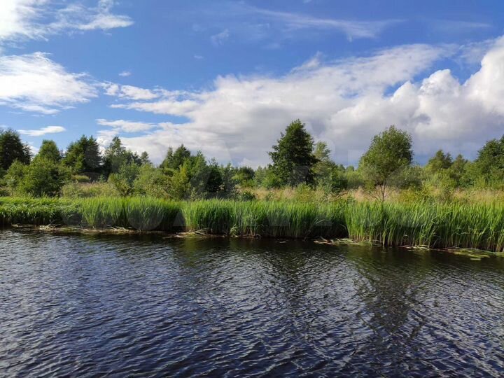 Участок 4,2 га (СНТ, ДНП)