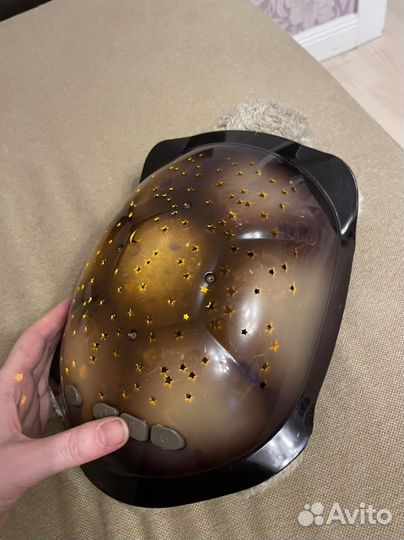 Ночник черепаха